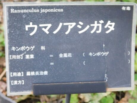 DSCN9043