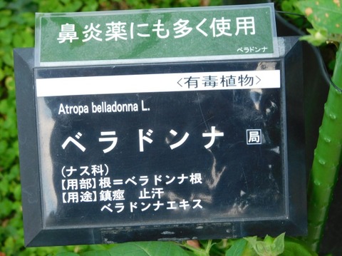 DSCN2374