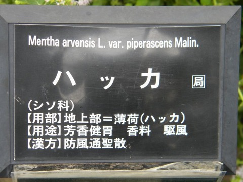DSCN0013