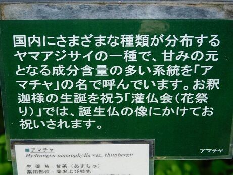 DSCN9538