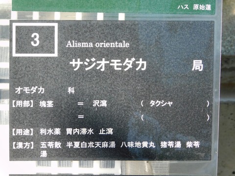DSCN5404