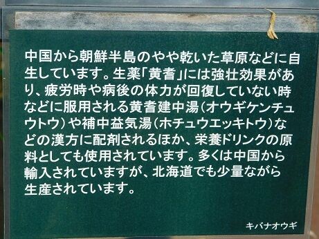 DSCN0146