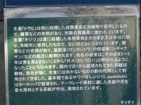 DSCN5880