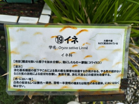 IMG_20260827_134423444_HDR
