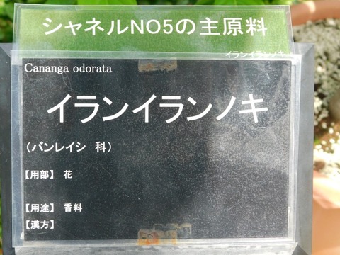 DSCN7229