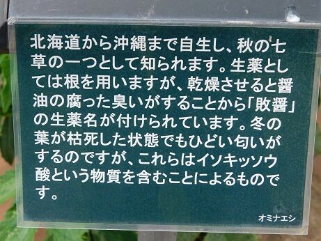 DSCN9896