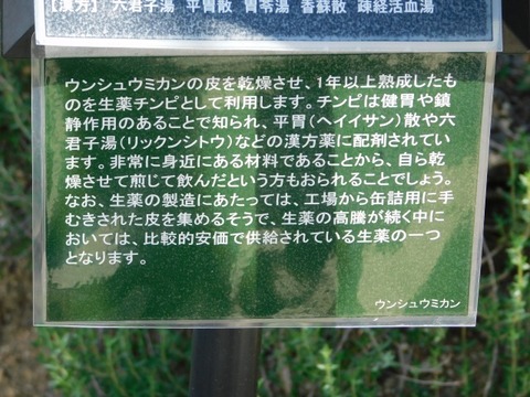 DSCN7420