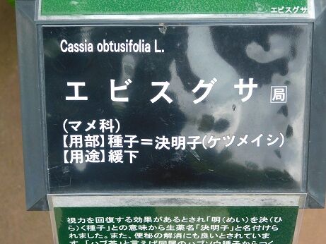 DSCN8315