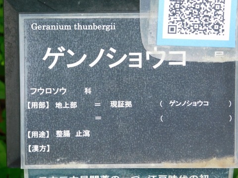 DSCN7258