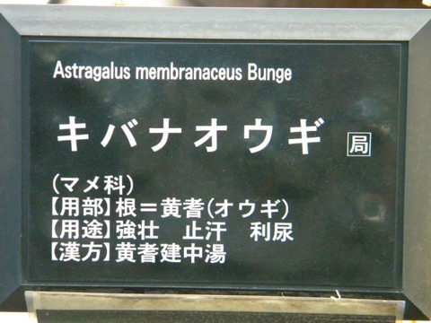 DSCN9892