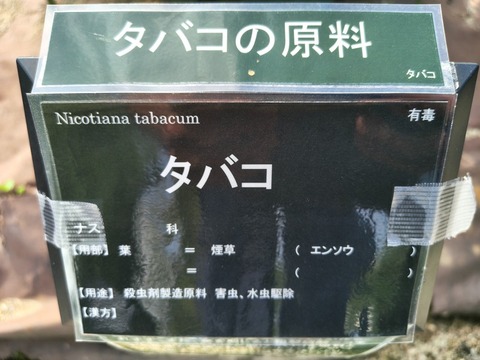 IMG_20260716_153128688_HDR