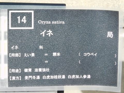 DSCN7398