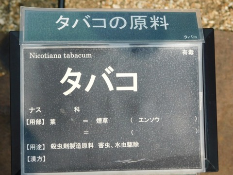 DSCN7374