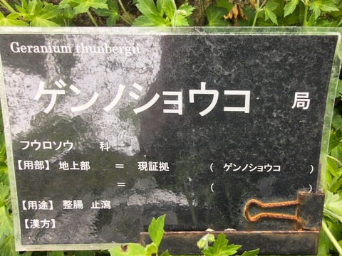 IMG_20260827_134458433_HDR
