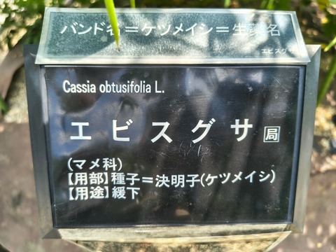 IMG_20260820_115234103_HDR