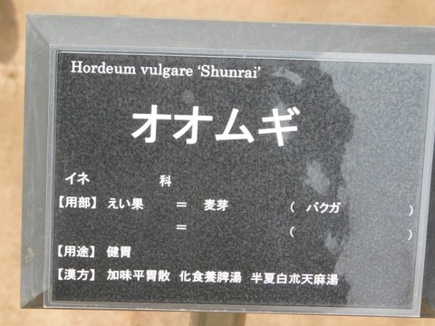 DSCN3704