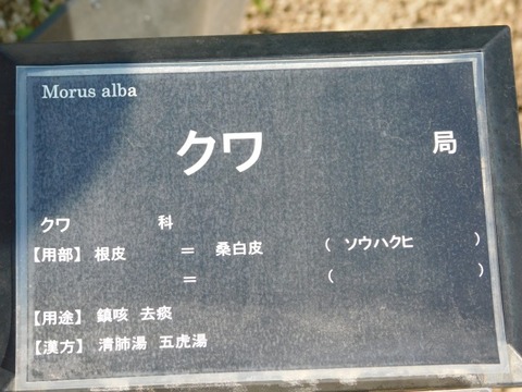 DSCN3335