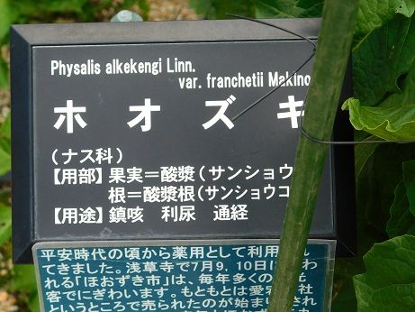 DSCN6149
