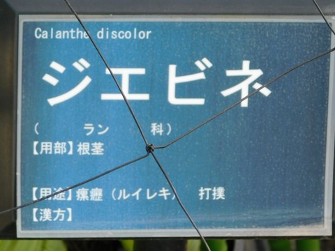 DSCN3848