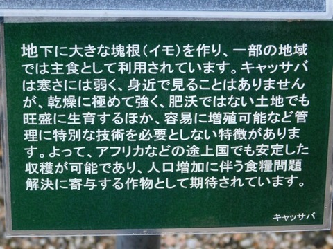 DSCN2723
