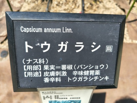 IMG_20260728_113426539_HDR
