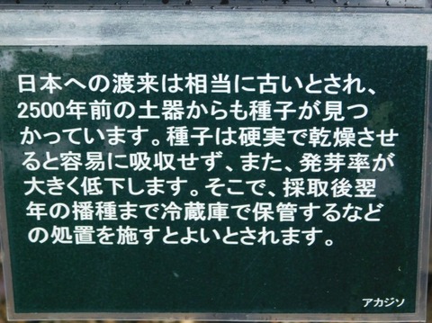 DSCN2701
