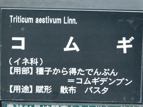 DSCN3758