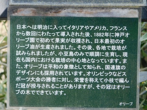 DSCN6745