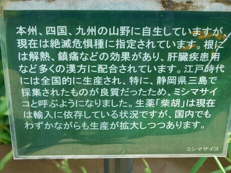 DSCN0150