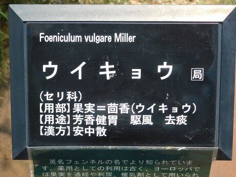 DSCN8073