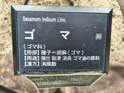 IMG_20260723_113419711_HDR