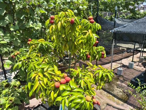 IMG_20260728_112523719_HDR