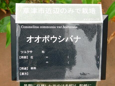 DSCN9890