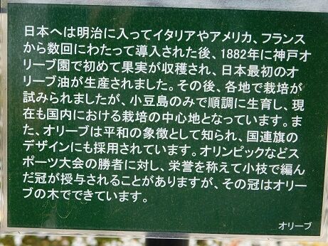 DSCN9580