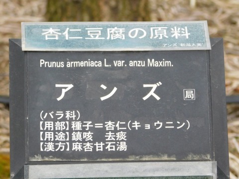 DSCN6475