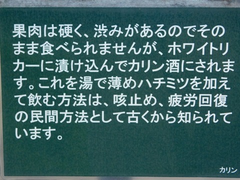 DSCN2708