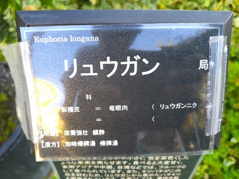 IMG_20261008_163516227_HDR