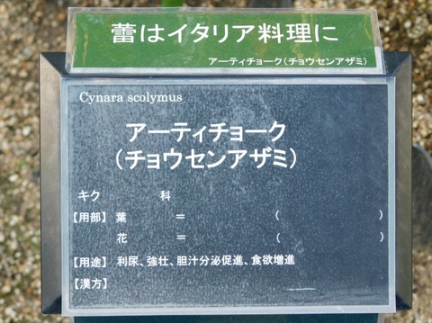 DSCN2390