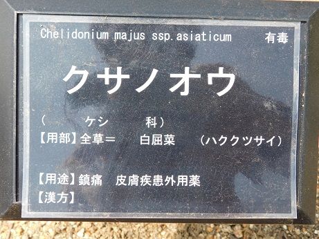 DSCN2400