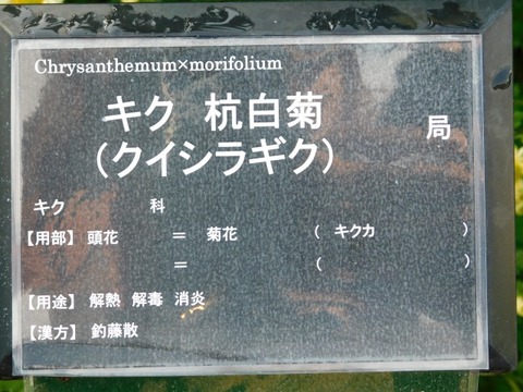 DSCN3048