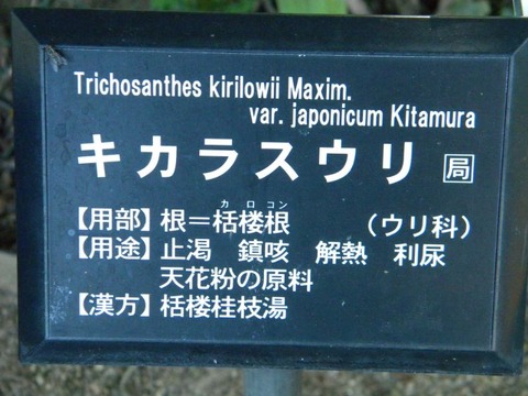 DSCN9844