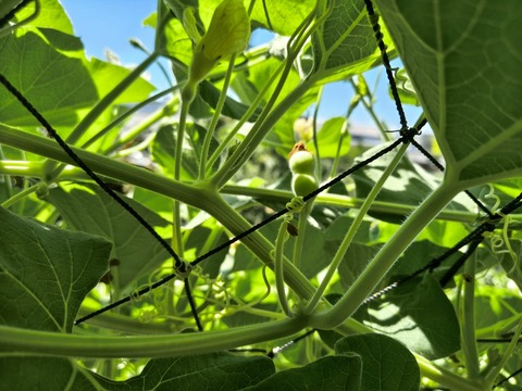 IMG_20260805_095330905_HDR
