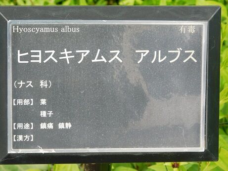 DSCN9647