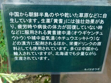 DSCN9970