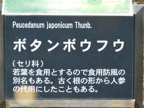 DSCN1131