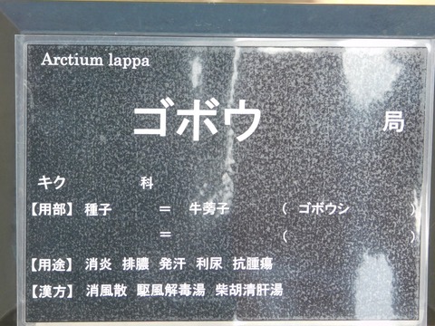 DSCN4479