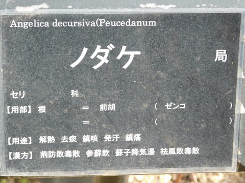 DSCN6158