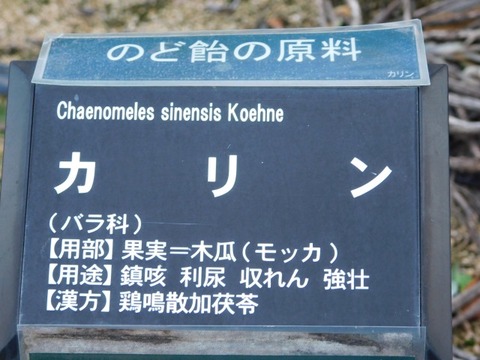 DSCN3219