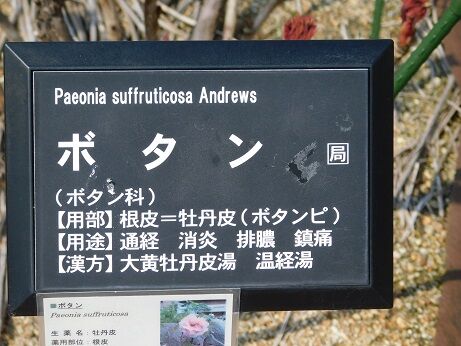DSCN7155