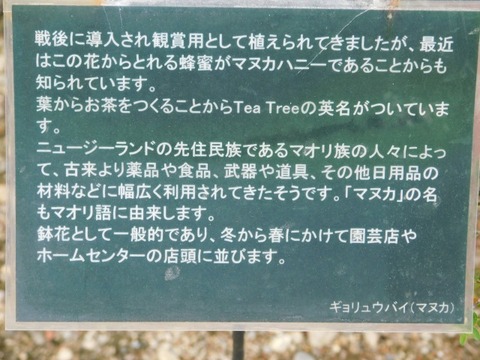 DSCN6752